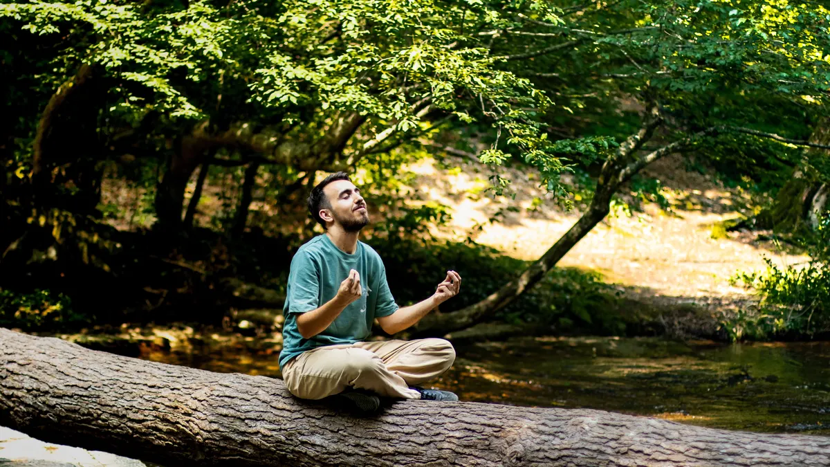 Homme en méditation dans une forêt verdoyante et lumineuse - illustration de l'article Satipaṭṭhāna Sutta : résumé, enseignements clés et pratique