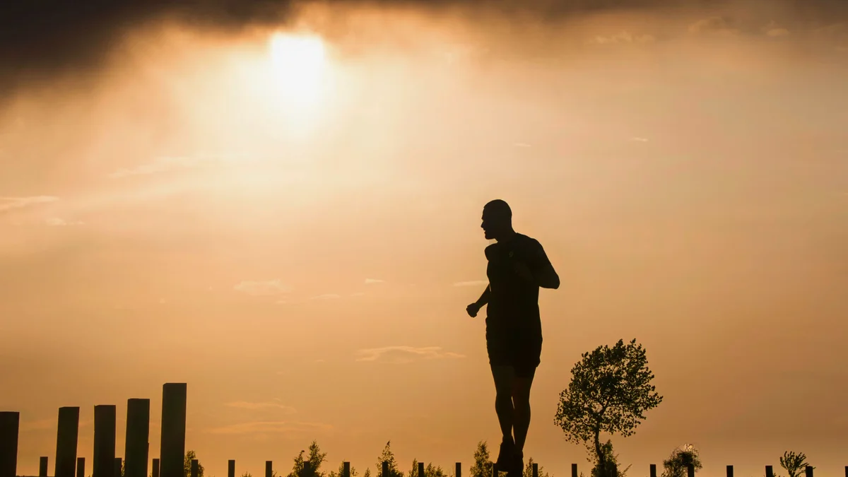 Silhouette face au soleil, symbole d'un nouveau chemin de vie - illustration de l'article Formation et reconversion professionnelle : un guide complet